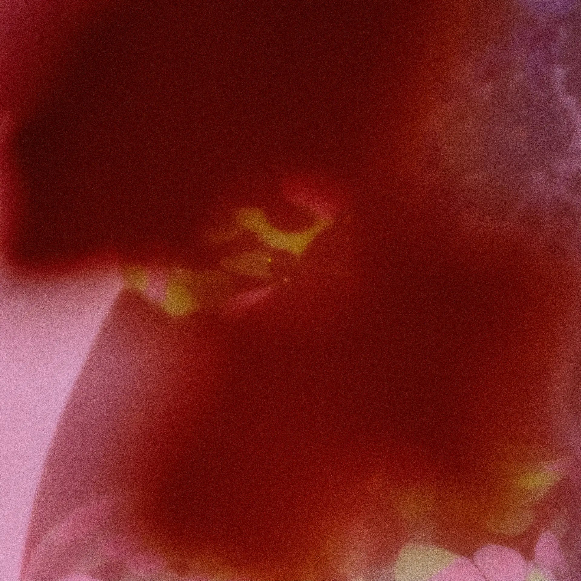 Pause - Image 3