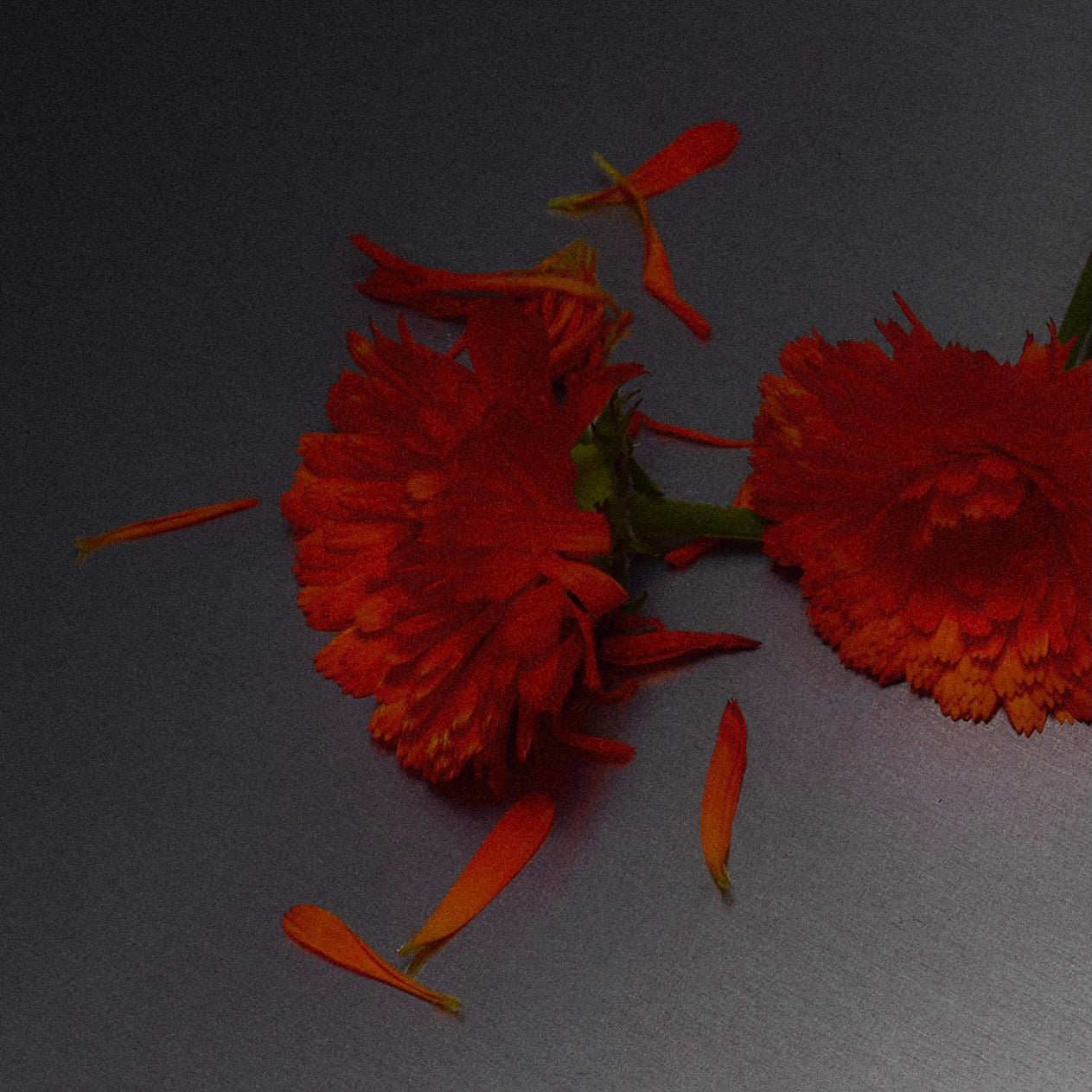 Scene 02 - Image 3